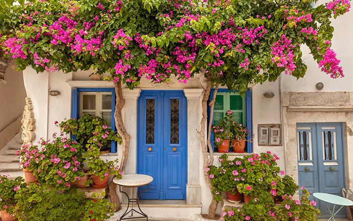 Traditional house with bougainvillea in Tinos